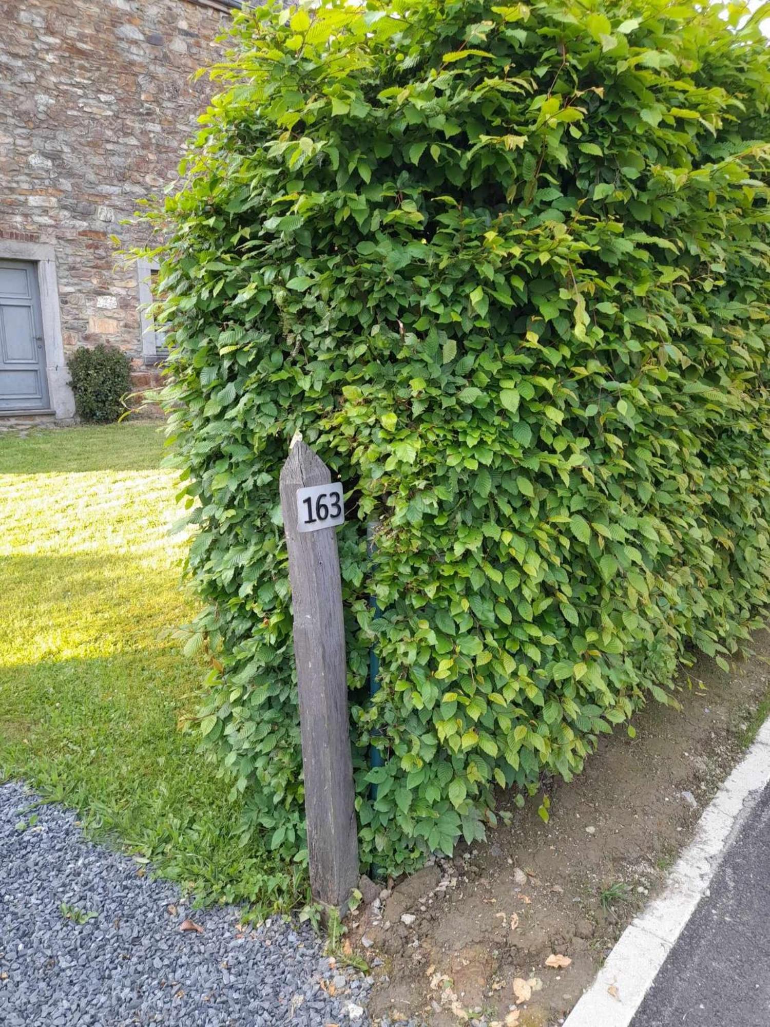 Le Cerf Volant Villa Libin Eksteriør billede